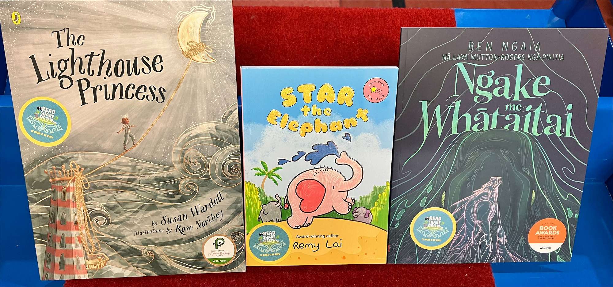 RSG Books ready for distribution in South Dunedin&nbsp;