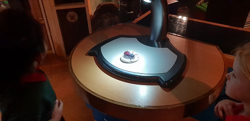 Awa's Trip to the Canterbury Museum