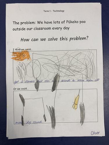 Harakeke Technology Problem