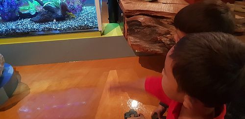 Awa's Trip to the Canterbury Museum