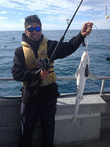 Kaikoura Fishing Trip