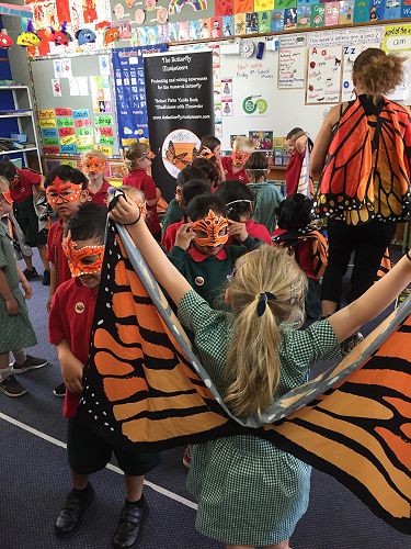 The butterfly lady visits Team Awa