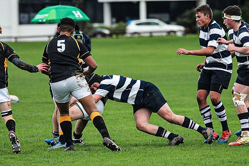 PNBHS Colts Rugby v Wellington College 