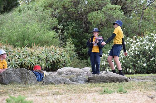 Working together to solve problems