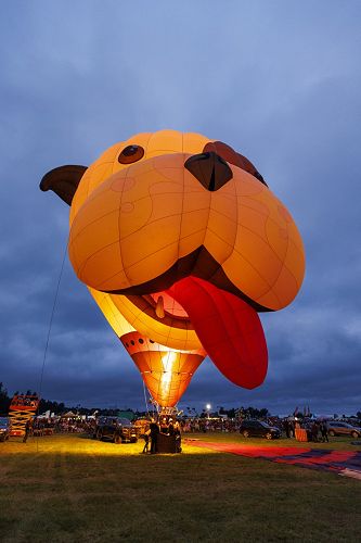 Buster the Bulldog - special shape from the UK