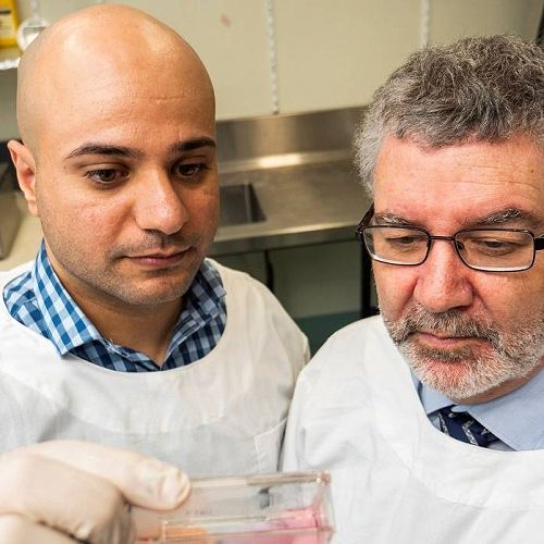 Professor Nigel McMillan