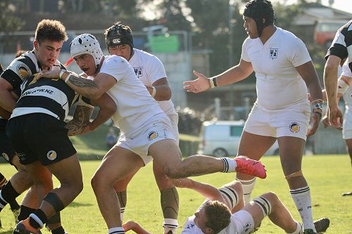 1st XV vs New Plymouth Boys' High School
