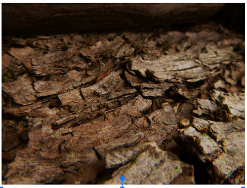 Annabel Harmer, 10LNM 