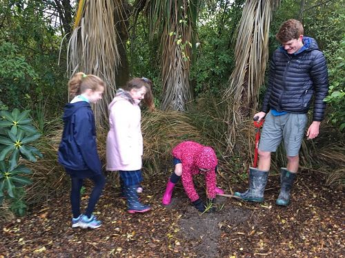Planting Trees in the Red Zone (Homeroom 13 & 23)