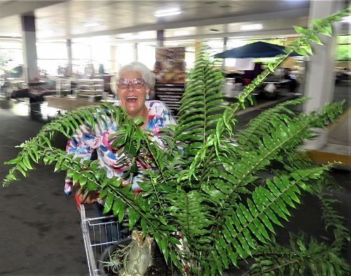 Oh I do love a good market - now just got to figure out how to get it back to Gladstone.