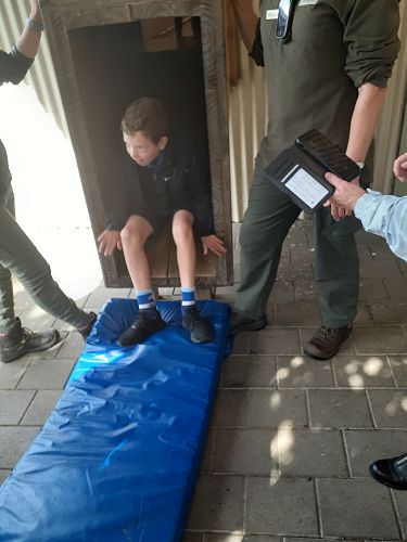 Down the Sheep Chute