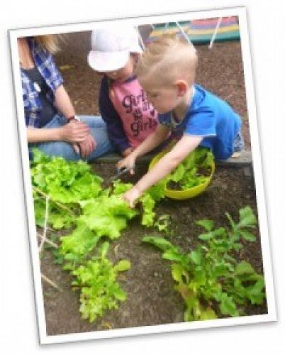 A bowl full of salad that we grew ourselves.
