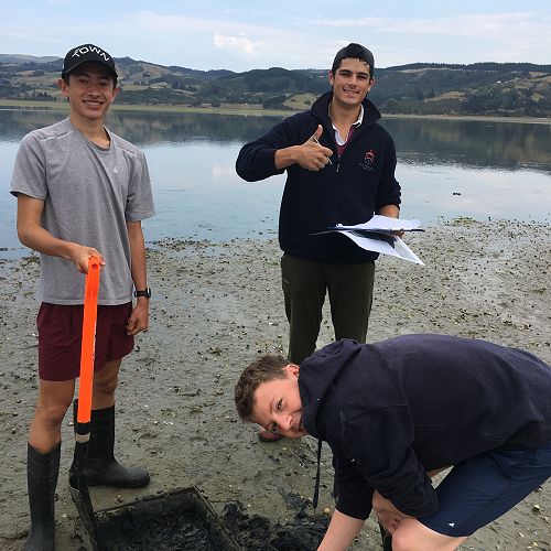 Josh, Angus & Eli sampling the mudflat community