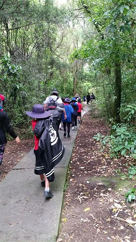 Riccarton House & Riccarton Bush - Team Harakeke - 2017