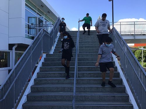 Enjoying the stairs for Fitness in Whanau-Ora