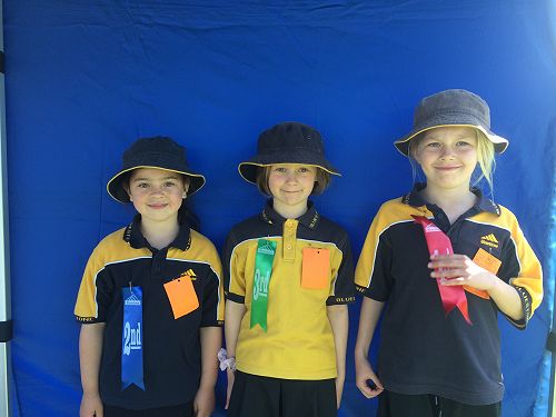 High Jump U7 girls-  First: Laci Latimer 86cm  Second: Ellie Norman78cm Third:Tessa Whitaker76cm