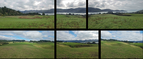 A room with a view ...