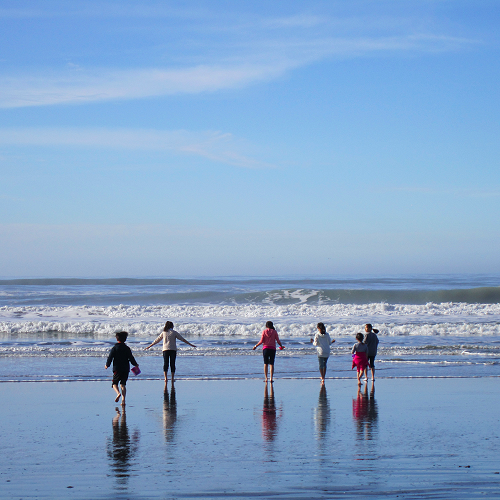 International Students