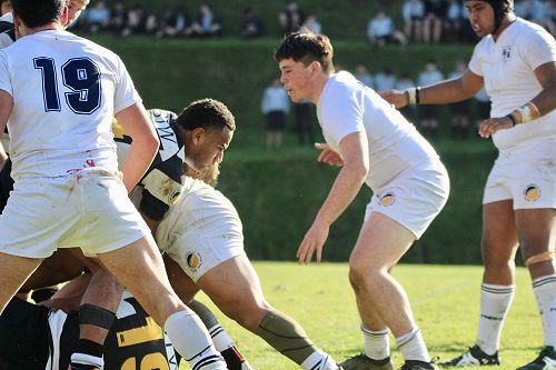 1st XV vs New Plymouth Boys' High School