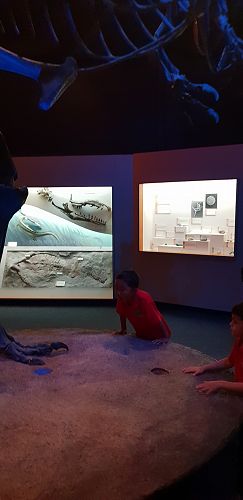 Awa's Trip to the Canterbury Museum