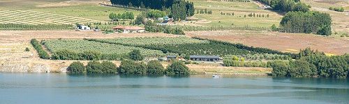 Dunford Grove, Smiths Way, Lake Dunstan