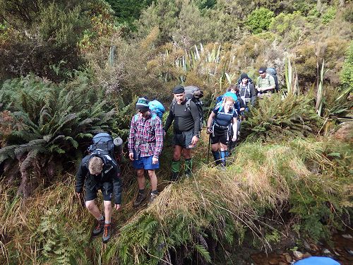 Hiking trip at the Silver Peaks