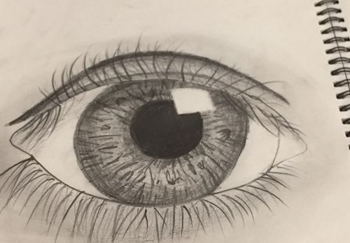 Artwork: Middle School 2nd Place - Aoife Sievwright