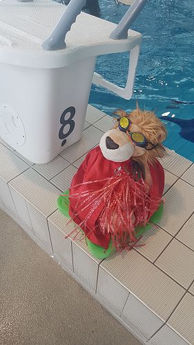 BHS Swimming Sports 2022