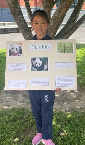 Linda Mei’s presentation on Pandas 