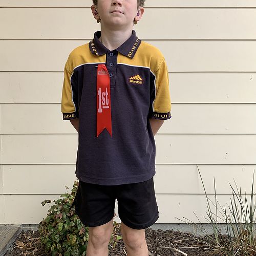 Video: A Steady Pace Wins the Race