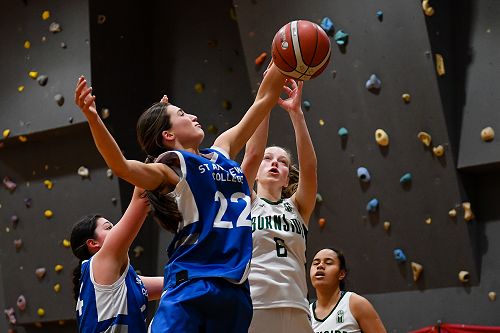 Basketball Girls Senior A Team - Whelan Trophy Competition
