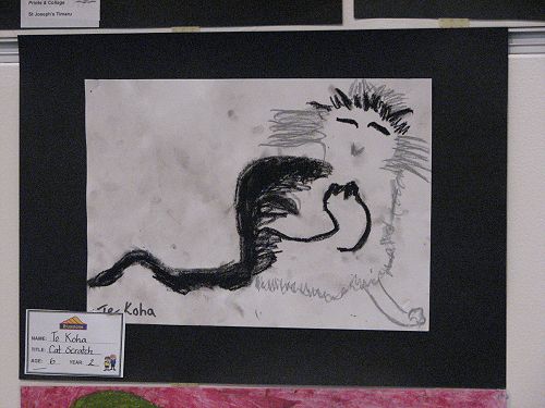 Cat Scratch by Te Koha