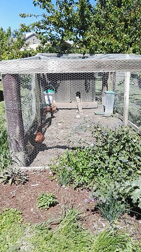 What's Growing in Term 4 2018