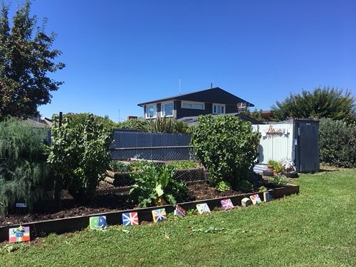 The Wairakei School Garden.