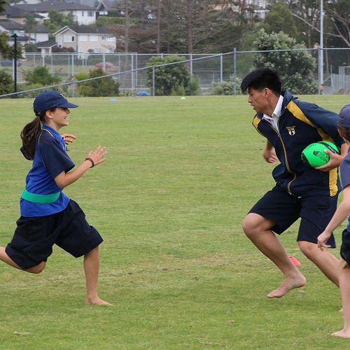 Primary Week 6 Term 4