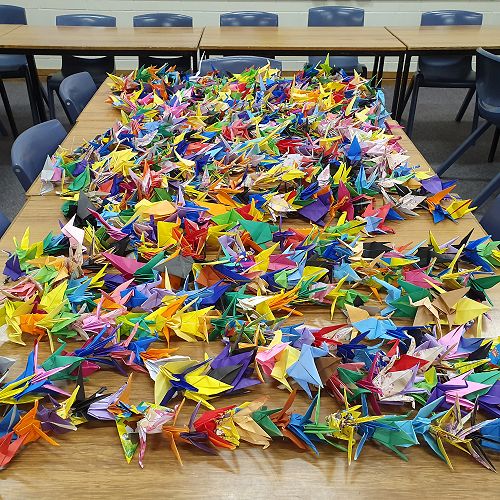 1000 Paper Cranes - Kia kaha!  