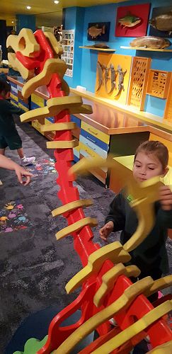 Awa's Trip to the Canterbury Museum