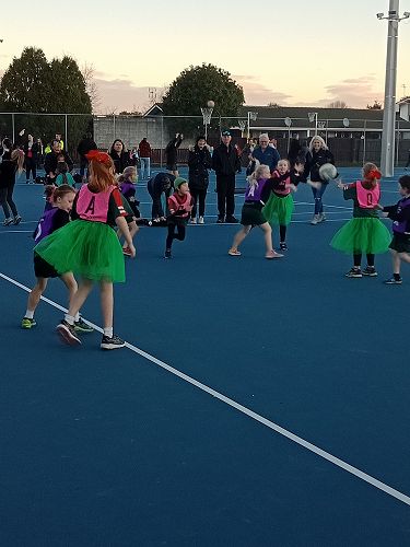 Junior Netball