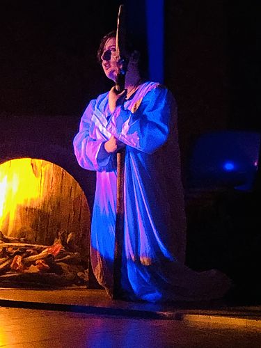 Pohutukawa drama performance September 2020