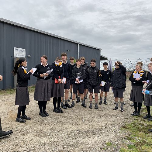 Year 13 Agribusiness field trips