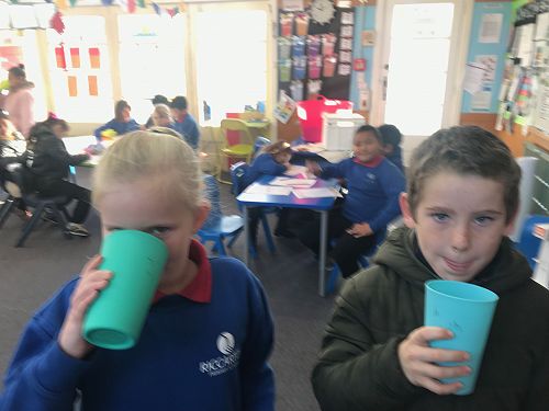 Milkshakes, Rm 3 - T2 2019