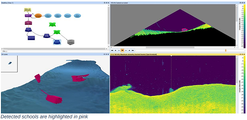 ECHOVIEW Hydroacoustic Data Processing of WASSP Multibeam recordings