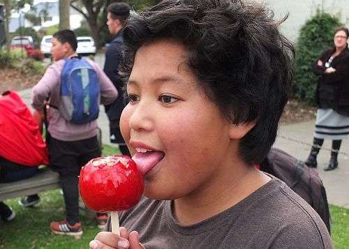 Special Character Week - Fair 2015