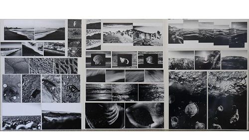 Charlie Walther (Photography)