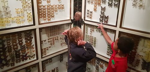 Awa's Trip to the Canterbury Museum