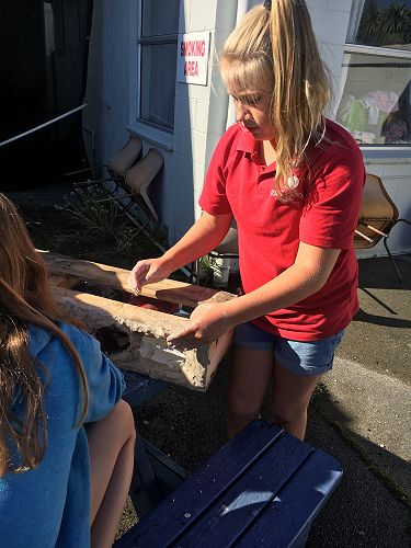 Oderings School Gardens Show 2018