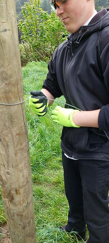 Agricultural and Horticultural Science