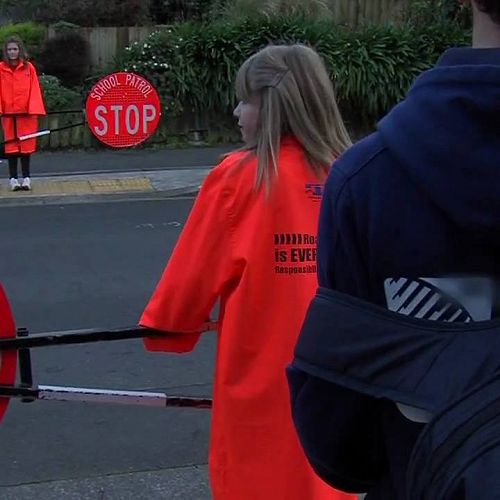 Video: Using a kea crossing