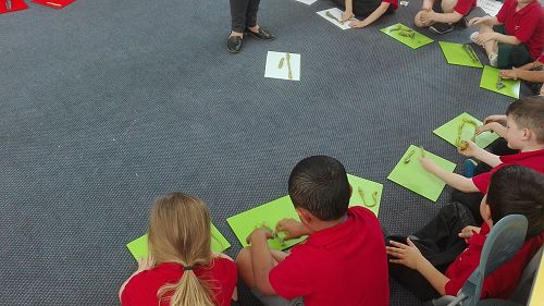 Measurement - week one