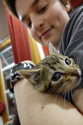 Cuddle Fix - 10 June 2018